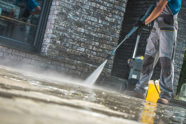Best Gutter Cleaning  in Superior, AZ